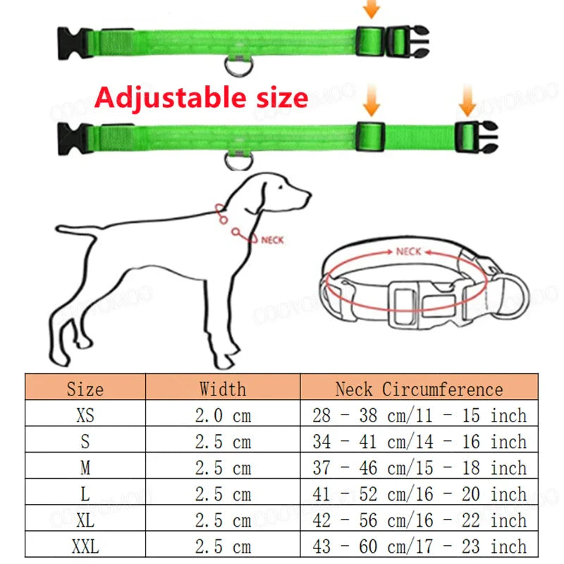 GlowSafe Dog Collar