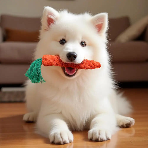 Cheerful Chew Carrot Toy