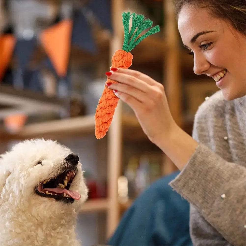 Cheerful Chew Carrot Toy