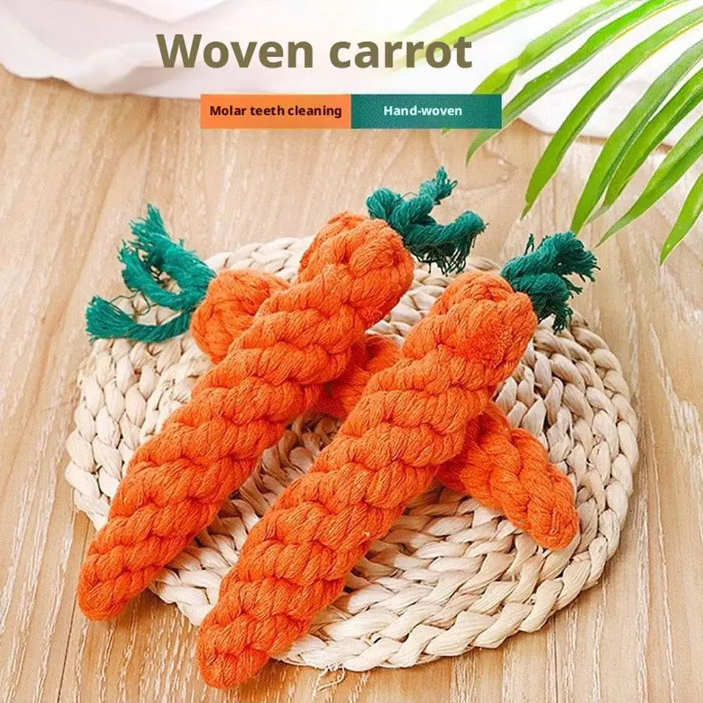 Cheerful Chew Carrot Toy