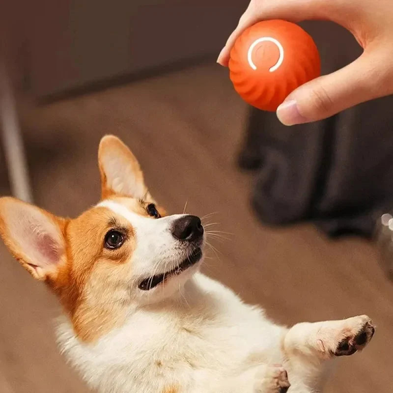 Smart Bouncing Dog Toy Ball