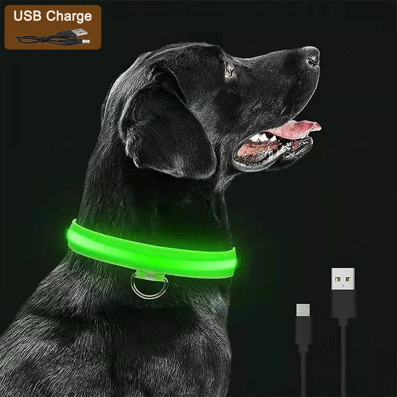 GlowSafe Dog Collar