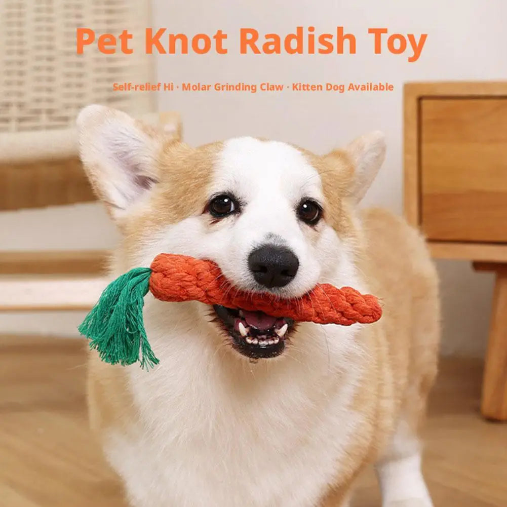 Cheerful Chew Carrot Toy